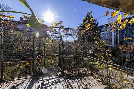 Любляна, Бежиград, дом: 4