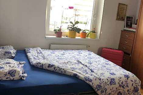 Полуторакомнатная квартира в Шентвиде: 13