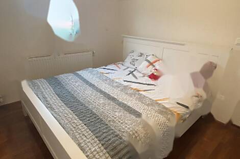 Любляна, дом в Чрнуче.: 12