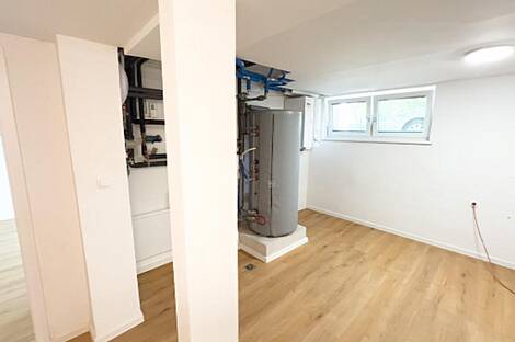 Здание в Любляне, Шишка: 2