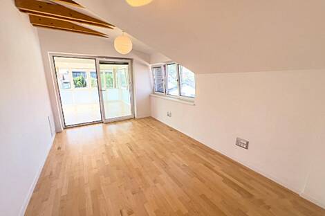 Здание в Любляне, Шишка: 5