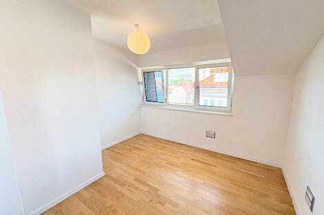 Здание в Любляне, Шишка: 6