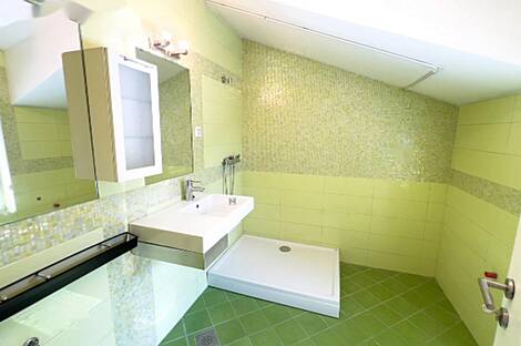 Здание в Любляне, Шишка: 7