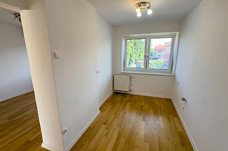 Здание в Любляне, Шишка: 14