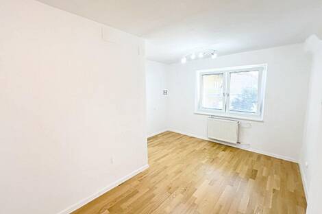 Здание в Любляне, Шишка: 15