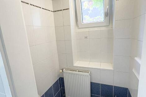 Здание в Любляне, Шишка: 17