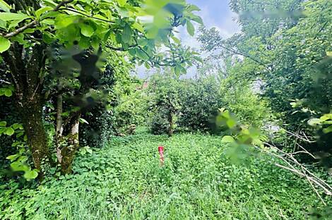 Жильё, Любляна Центр, Рожна Долина: 3