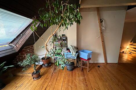 Жилье в Центральной части Любляны: 19