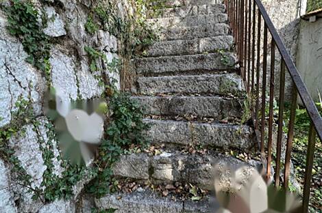 Жилье в Центральной части Любляны: 29