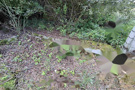 Дом в Спокойной Местности: 6