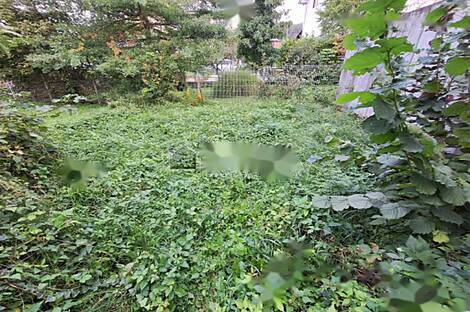 Дом Раковник с тремя этажами: 3