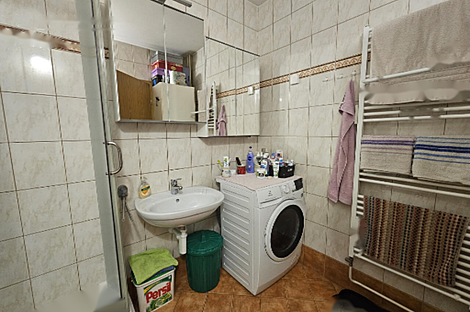 Трехкомнатная квартира, Моще: 11