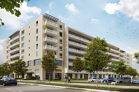 Четырехкомнатная квартира в Белиграде: 11