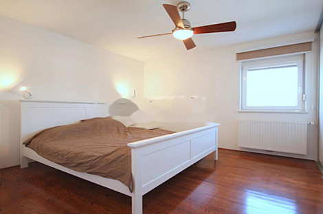 Дом-двойник Чрнуче: 13