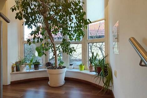 Жилище расположено за гостиницей Австрия Тренд: 19