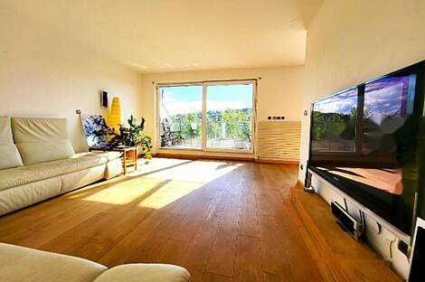 Апартаменты с 4-5 комнатами в центре Любляны.: 6