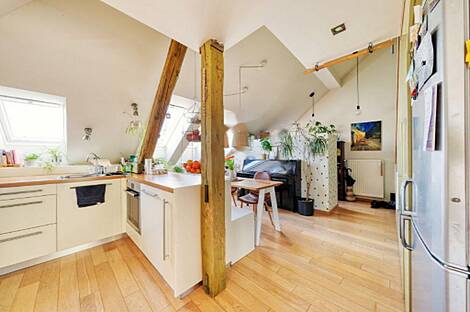 Апартаменты в центре Любляны: 8