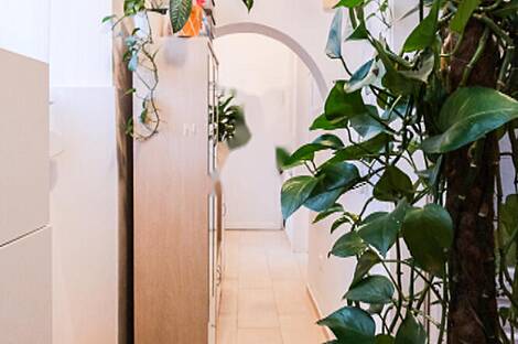 Двухкомнатная квартира в центре Любляны: 12