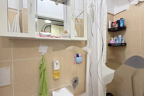 1-комнатная квартира в центре: 8