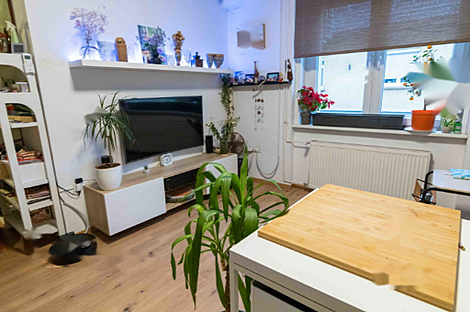 2-комнатная квартира в районе Бежиград, Новая Любляна: 3