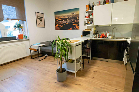 2-комнатная квартира в районе Бежиград, Новая Любляна: 4