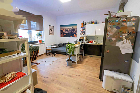 2-комнатная квартира в районе Бежиград, Новая Любляна: 5