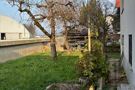 Жилище в местности Долги-Мост.: 30