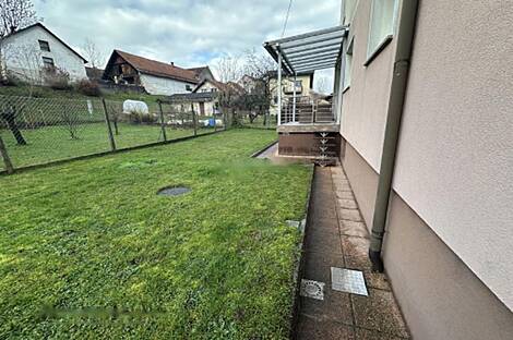 Дом, Ёжик: 10