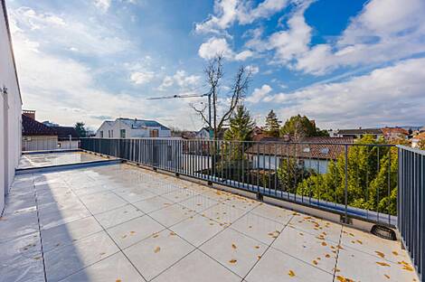 Дом в Ружиной Долине.: 12