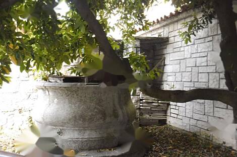 Камен, дом: 7