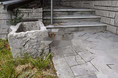 Камен, дом: 8