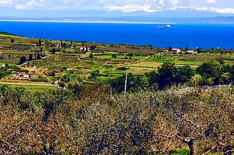 Дом, Изола: 3