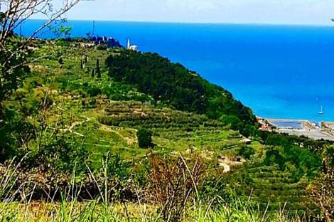 Дом, Изола: 4