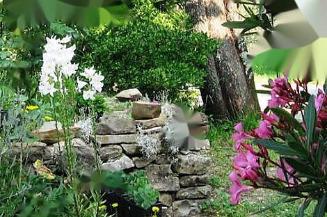 Дом, Изола: 9