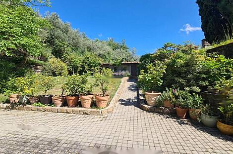 Дом с видом на океан: 10