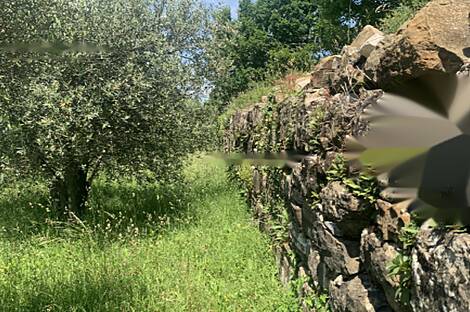 Дом с видом на океан: 29