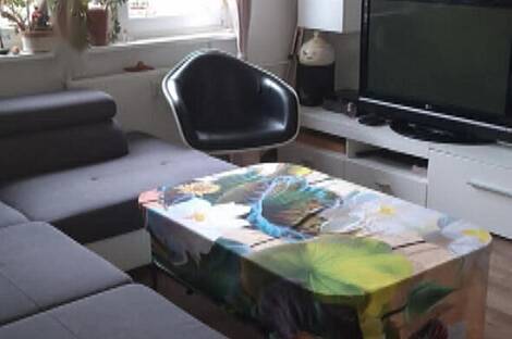 Четырехкомнатная квартира на Штепаньско Населе: 5