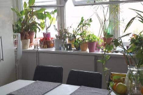 Четырехкомнатная квартира на Штепаньско Населе: 10