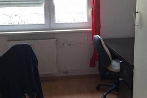 Четырехкомнатная квартира на Штепаньско Населе: 24