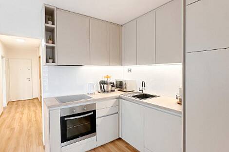 Трёхкомнатная квартира на Шишке: 1