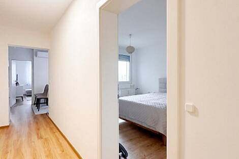 Трёхкомнатная квартира на Шишке: 22