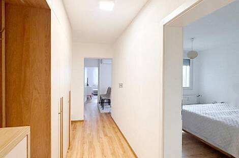 Трёхкомнатная квартира на Шишке: 23