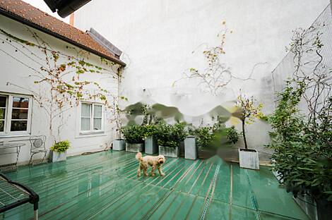 Центр Любляны, квартира с более чем пятью комнатами.: 13