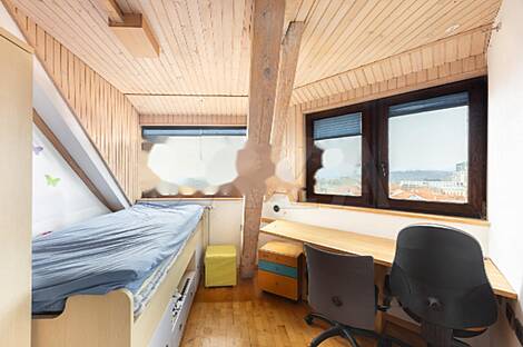 Апартаменты в центральной части Любляны: 8