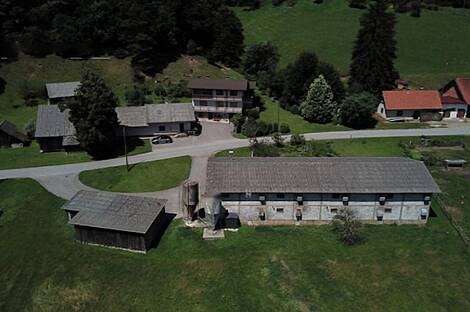 Дом, ферма Виден у Птуя: 1