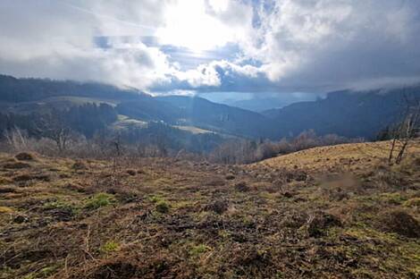 Дом и резиденция Святого Ернея над Мутой: 11