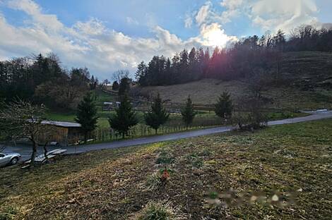 Имение, хозяйство Римских Топлице.: 8