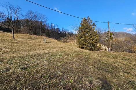 Имение, хозяйство Римских Топлице.: 12