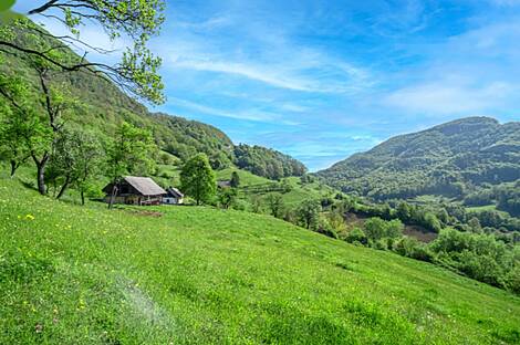 Дом, усадьба Святого Георгия: 9