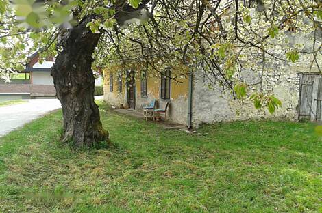 Усадьба, хозяйство Тополы, Текачево.: 1